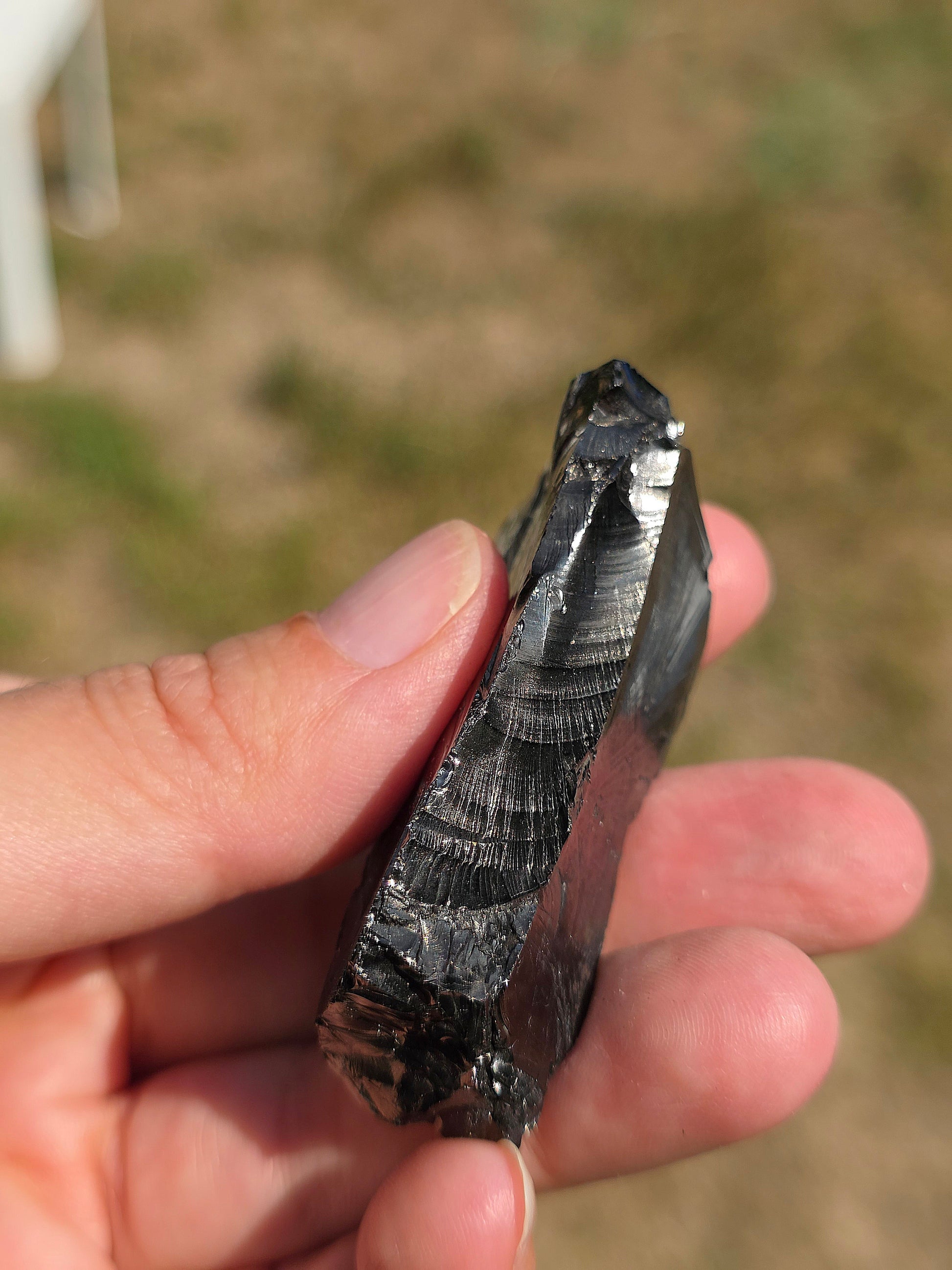 Shungite de Colombie