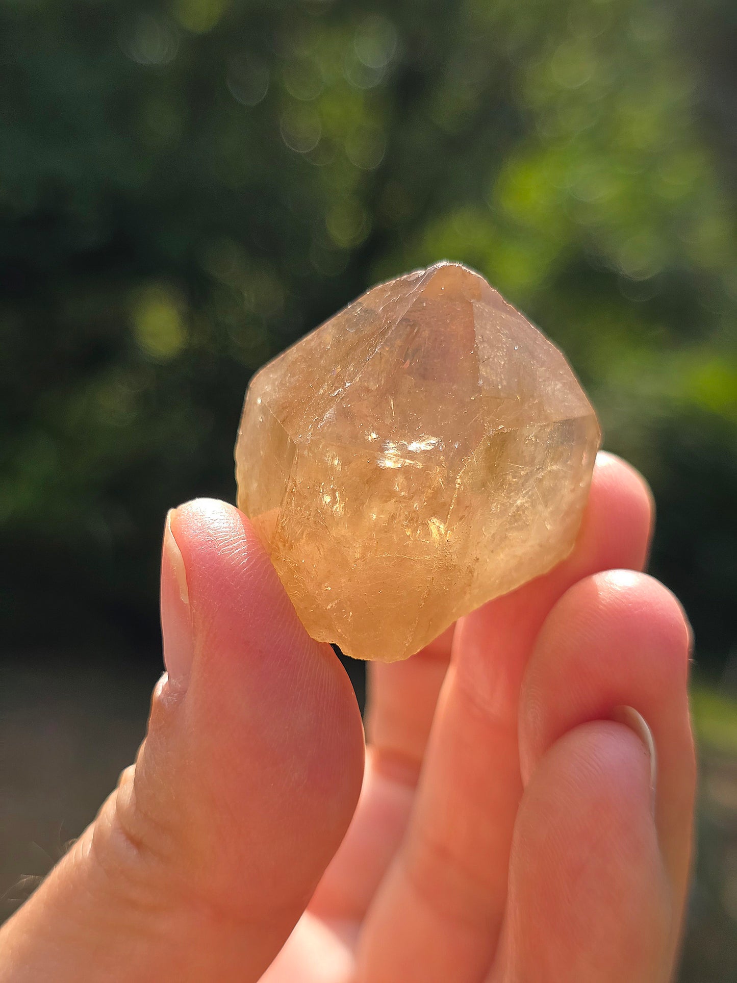 Citrine brute du Congo