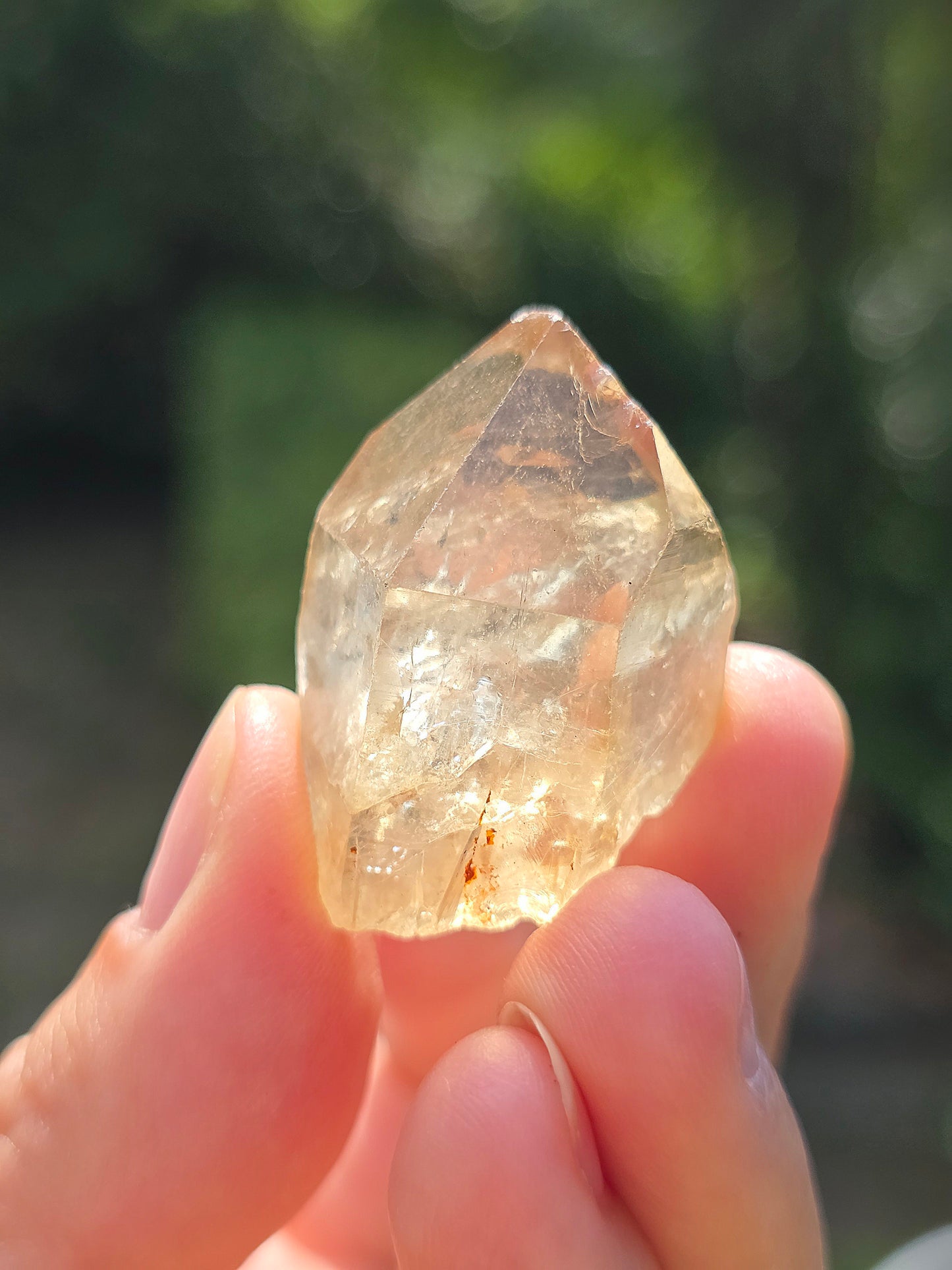 Citrine brute du Congo