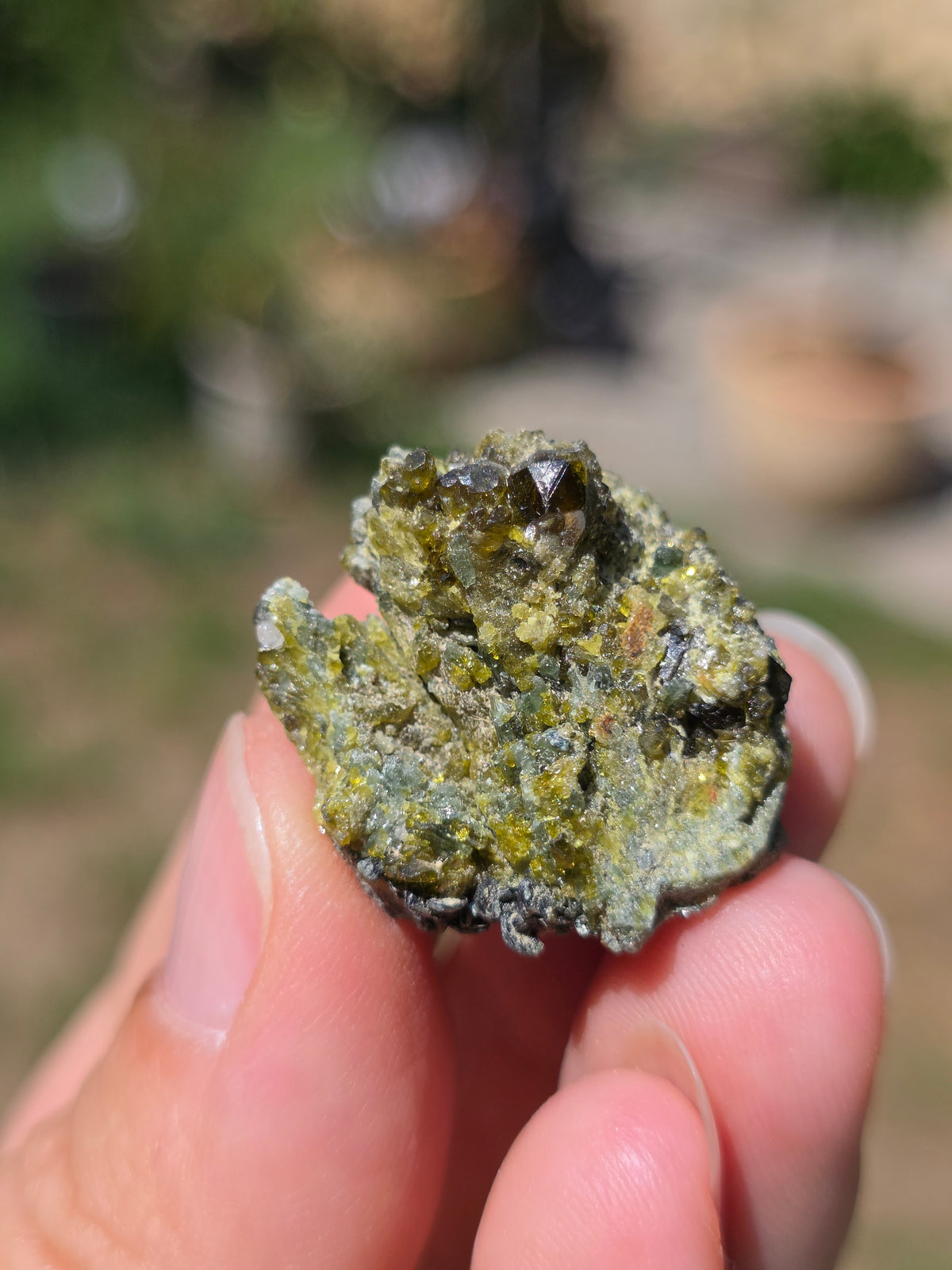 mélange de Grenat, Diopside et Epidote