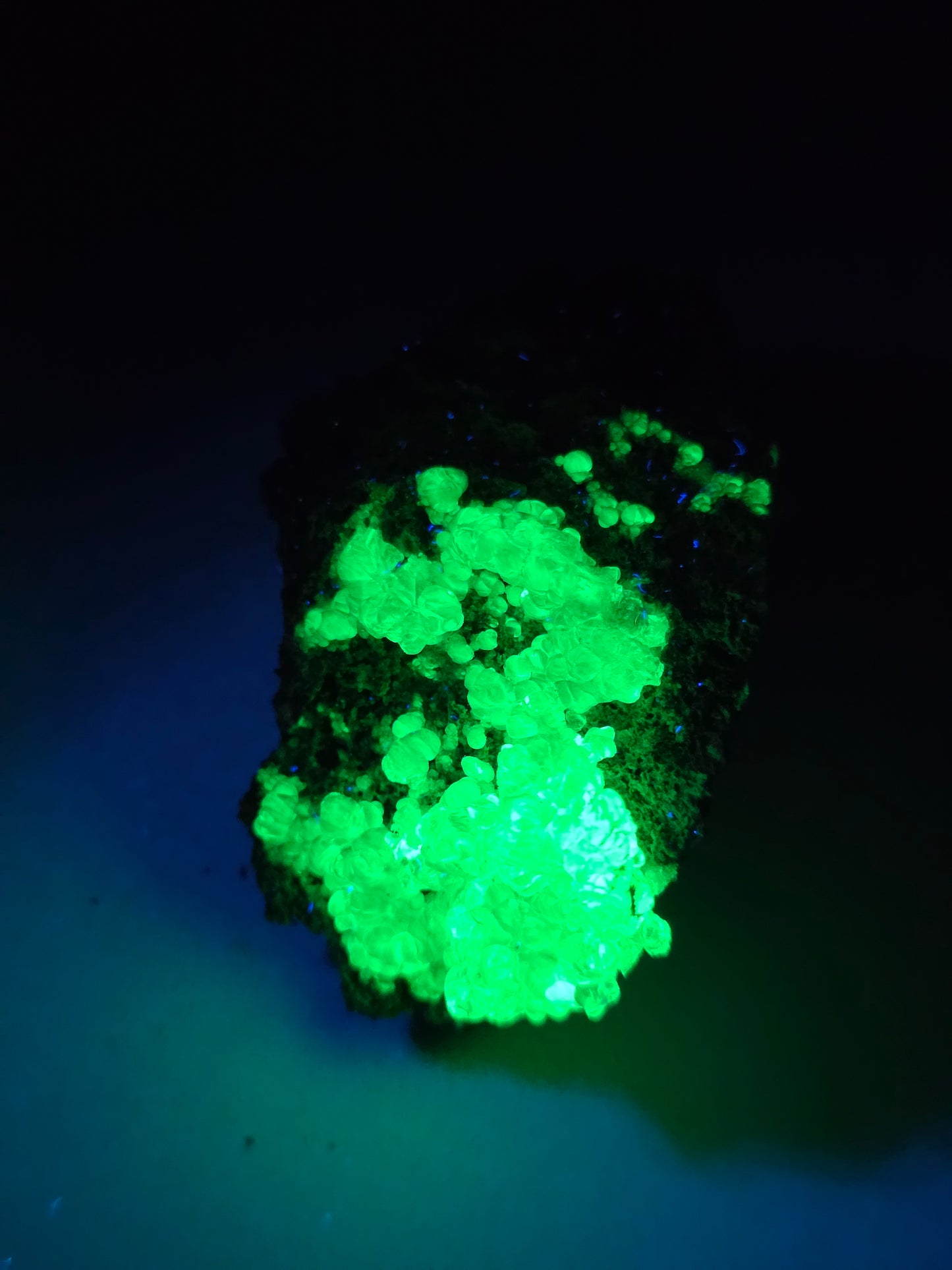 Opale Hyalite brute sur gangue réactive UV courts