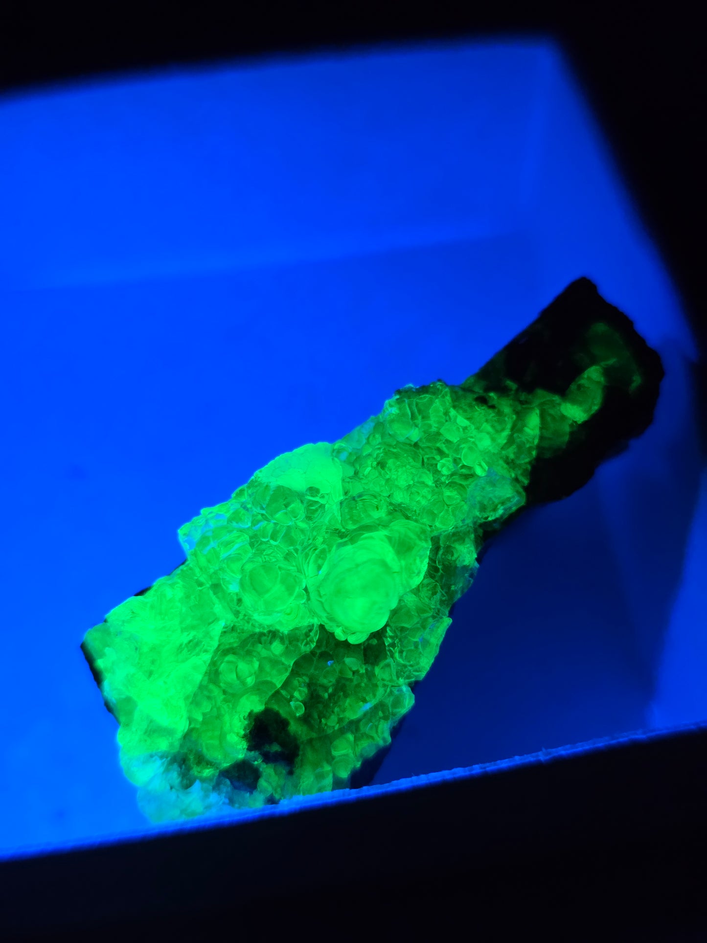 Opale Hyalite brute sur gangue UV
