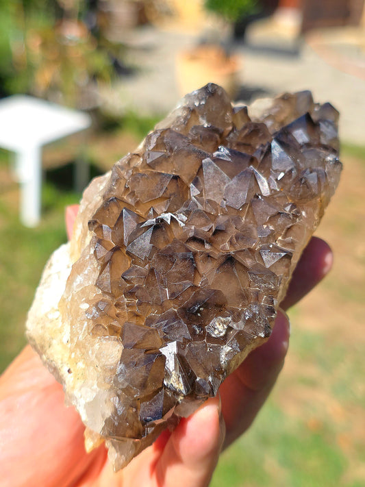 Quartz fumé breton brut du Morbilhan en France