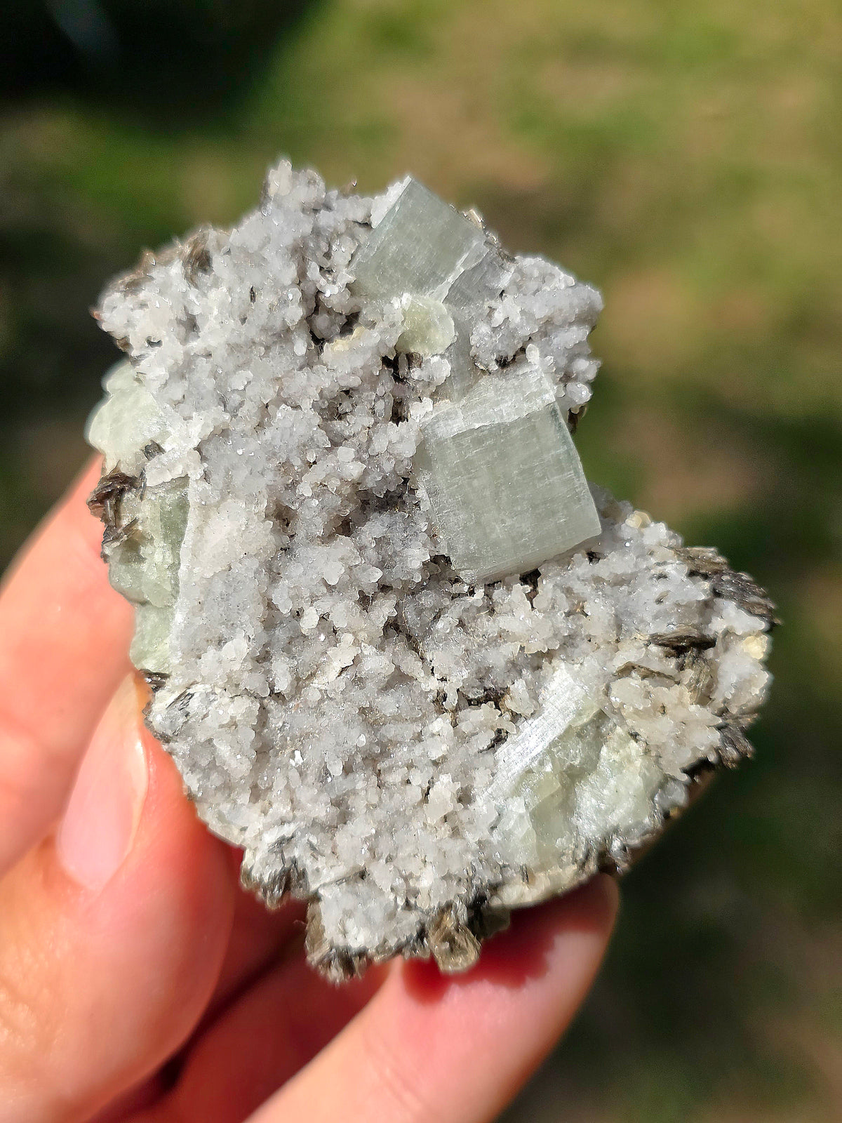 Apatite sur Muscovite (Fluorapatite) du Portugal réactive aux UV