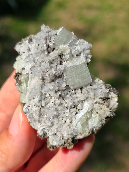 Apatite sur Muscovite (Fluorapatite) du Portugal réactive aux UV