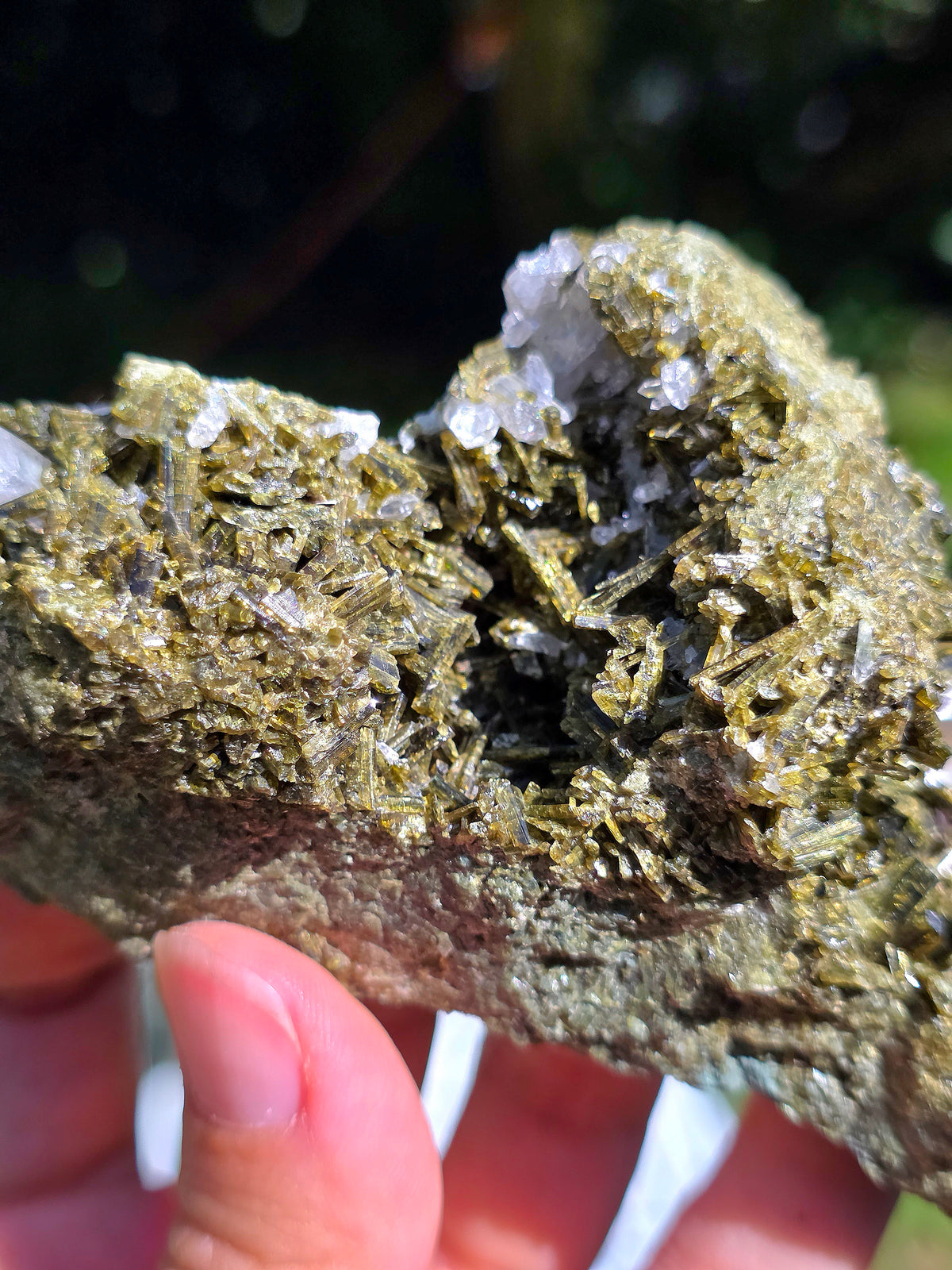 Epidote des carrières de l'Ophite à Lourdes, Hautes-Pyrénées