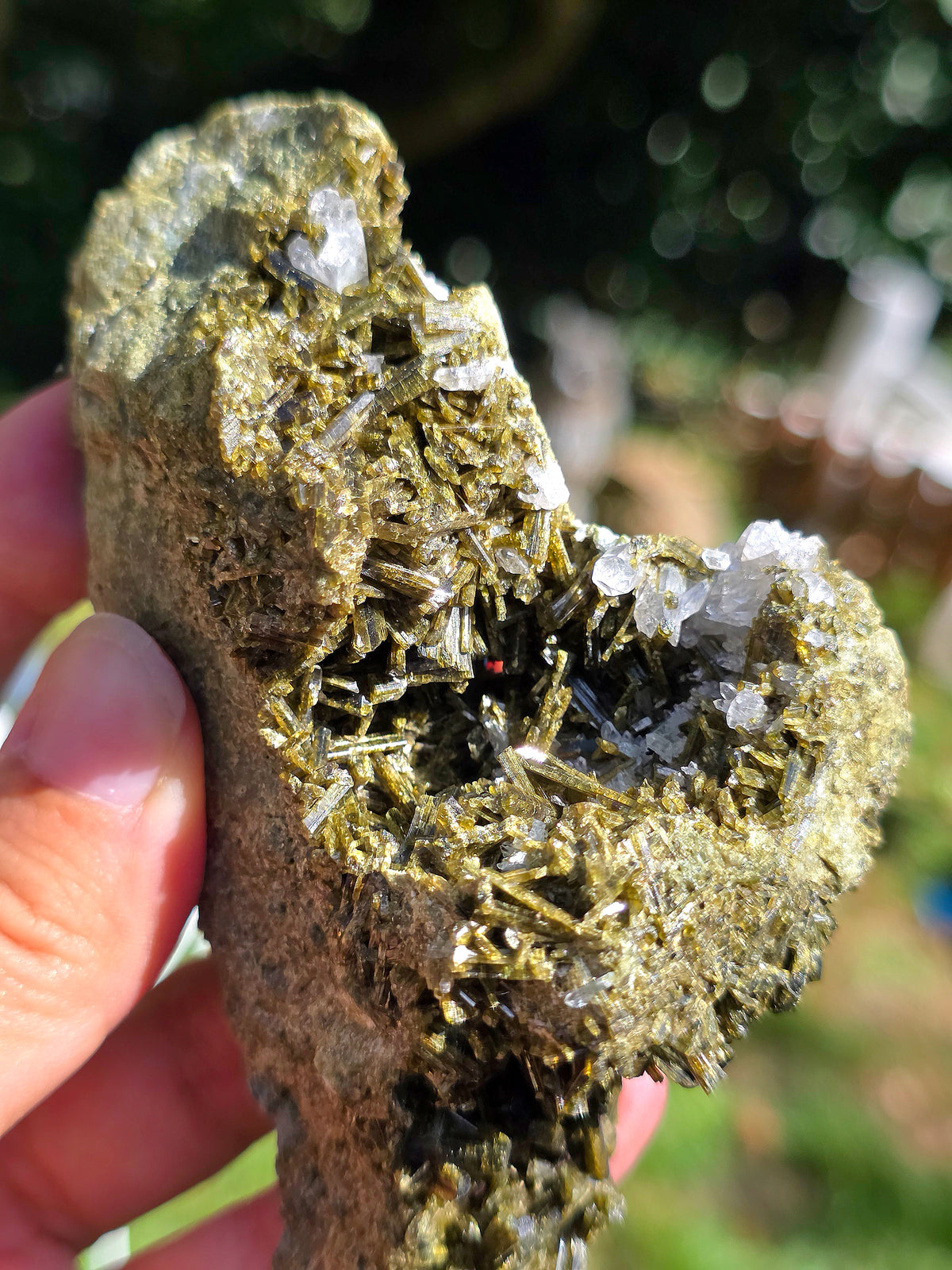 Epidote des carrières de l'Ophite à Lourdes, Hautes-Pyrénées