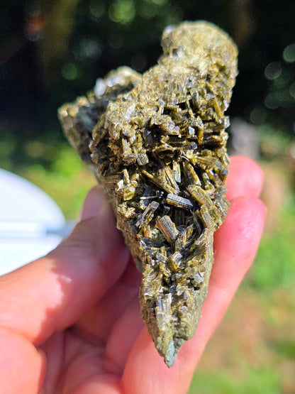 Epidote des carrières de l'Ophite à Lourdes, Hautes-Pyrénées
