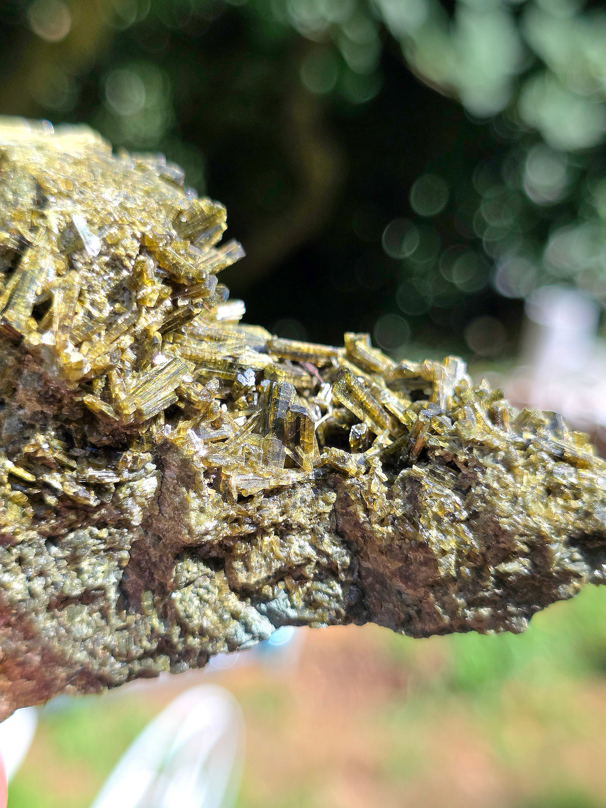 Epidote des carrières de l'Ophite à Lourdes, Hautes-Pyrénées