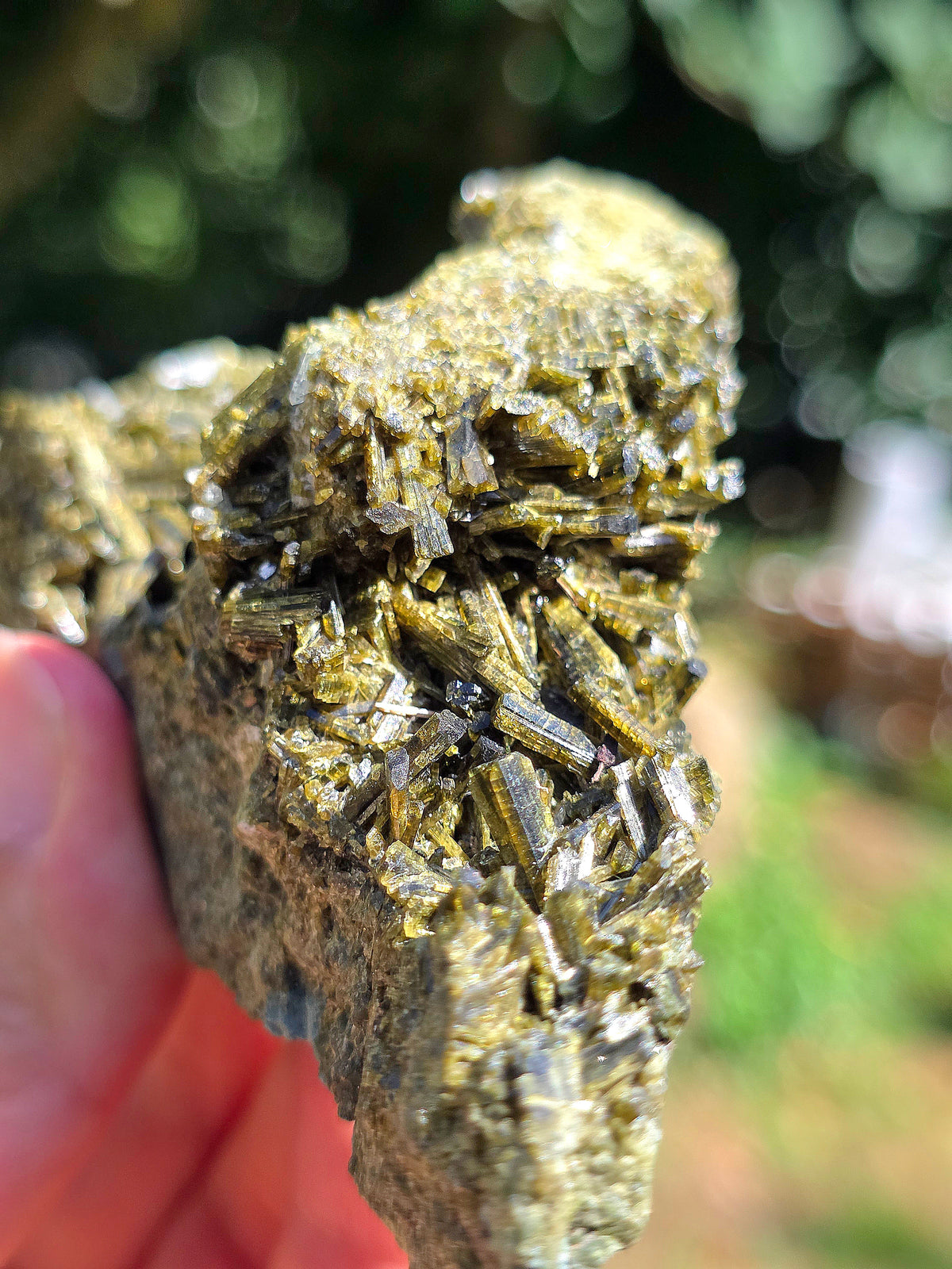 Epidote des carrières de l'Ophite à Lourdes, Hautes-Pyrénées
