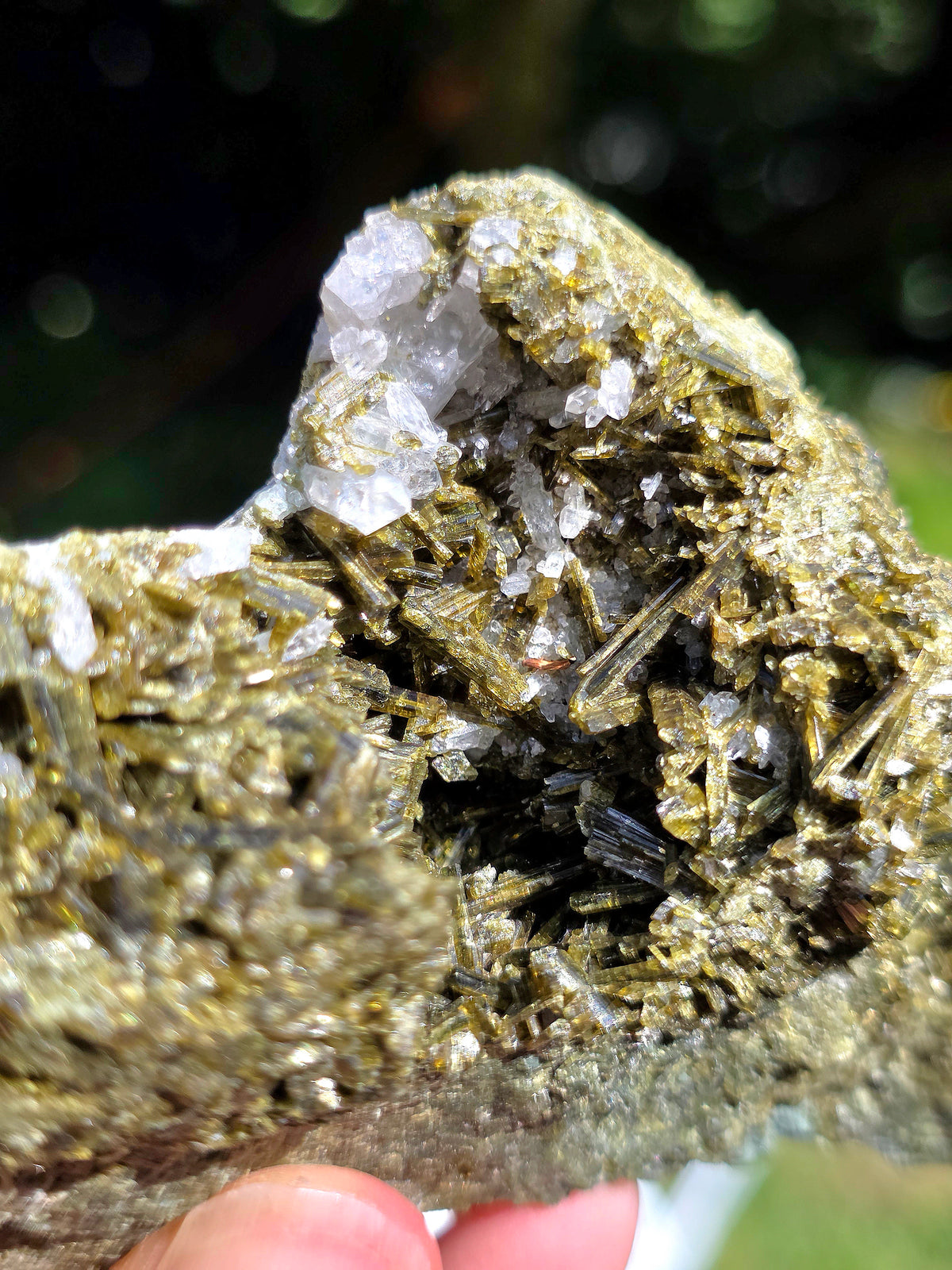 Epidote des carrières de l'Ophite à Lourdes, Hautes-Pyrénées