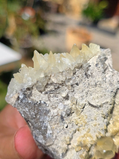 Calcite miel des Pyrénées A