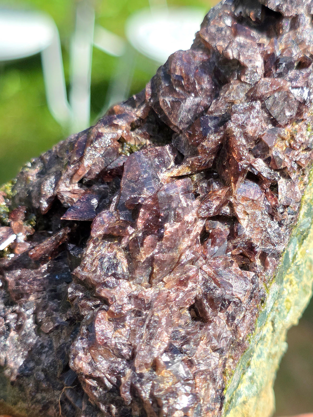 Axinite avec inclusions d'épidote de Barèges, Pyrénées, France