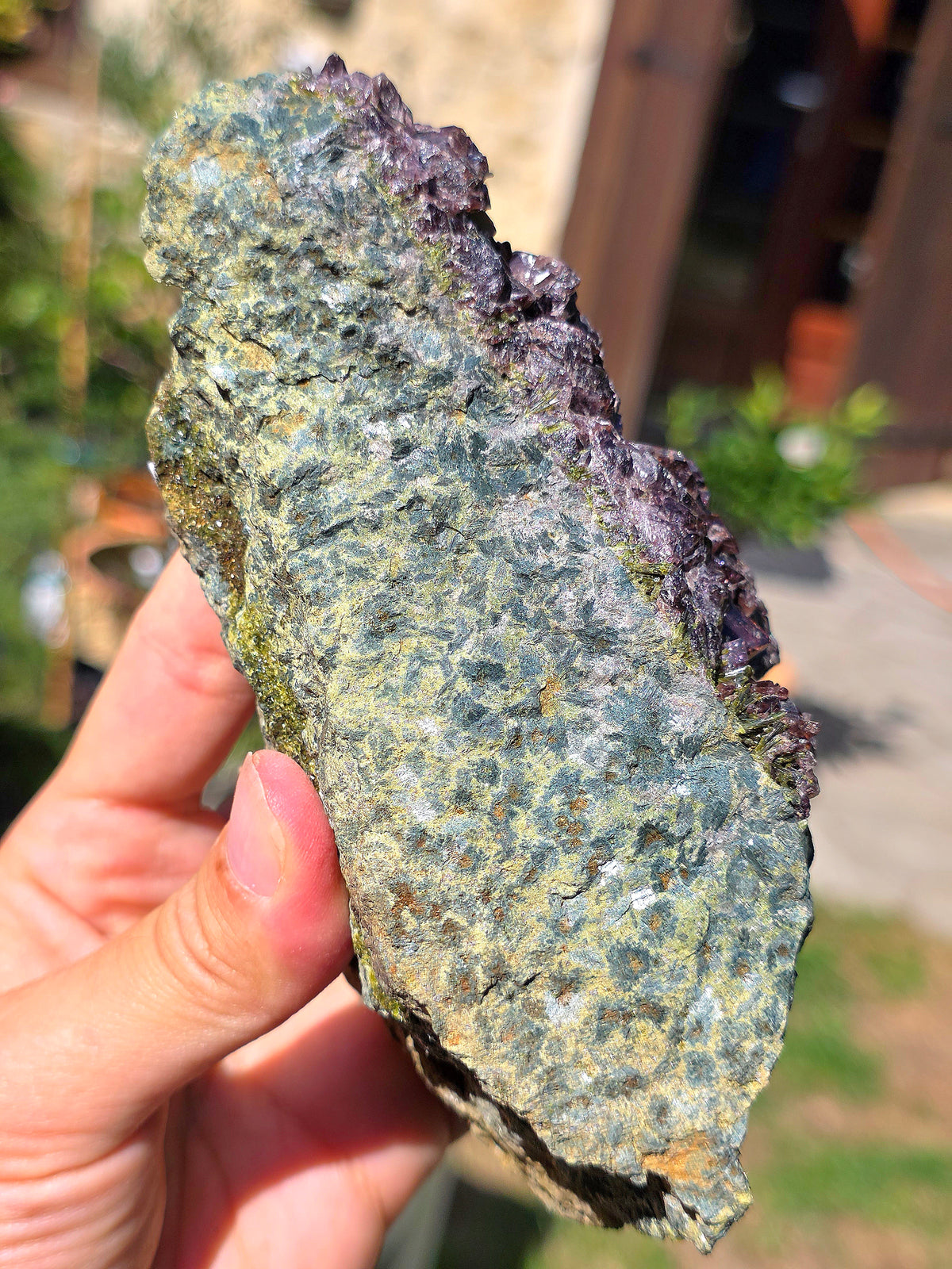 Axinite avec inclusions d'épidote de Barèges, Pyrénées, France