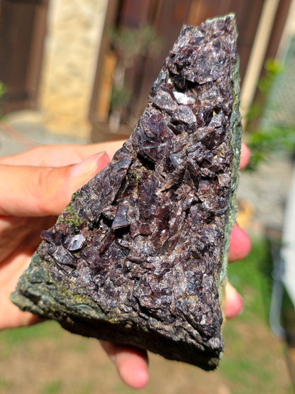 Axinite avec inclusions d'épidote de Barèges, Pyrénées, France