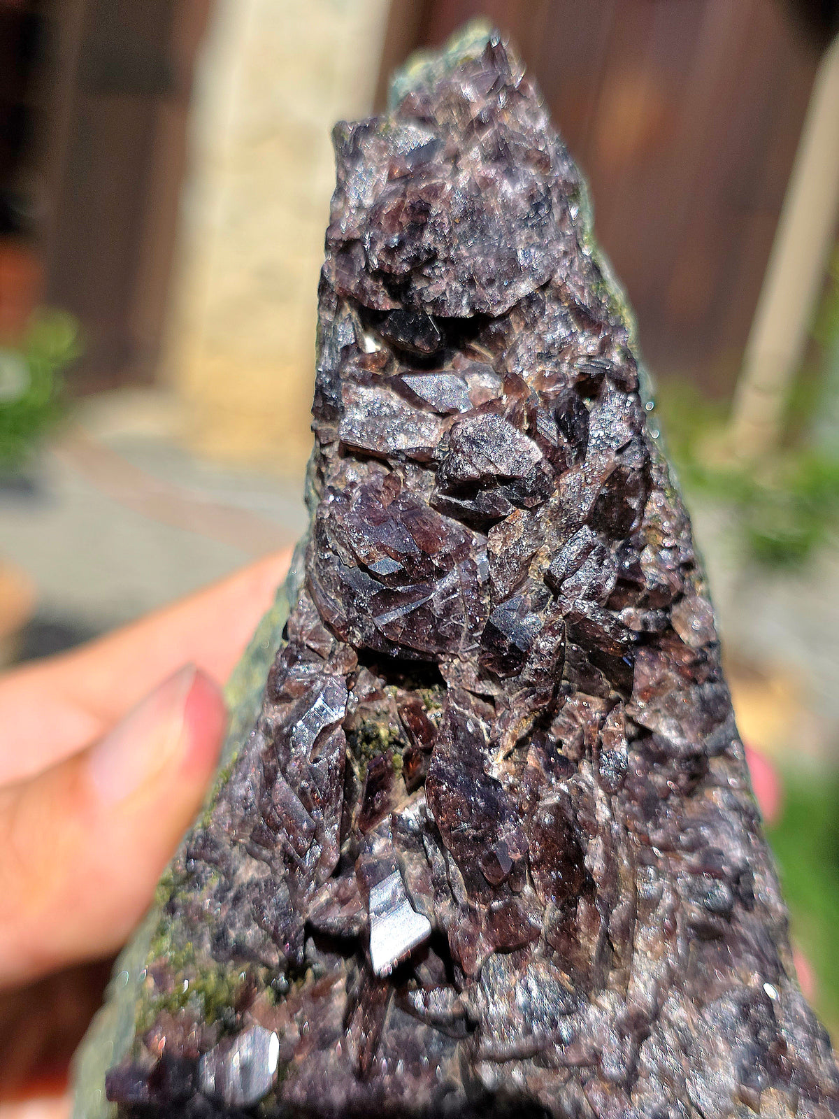 Axinite avec inclusions d'épidote de Barèges, Pyrénées, France