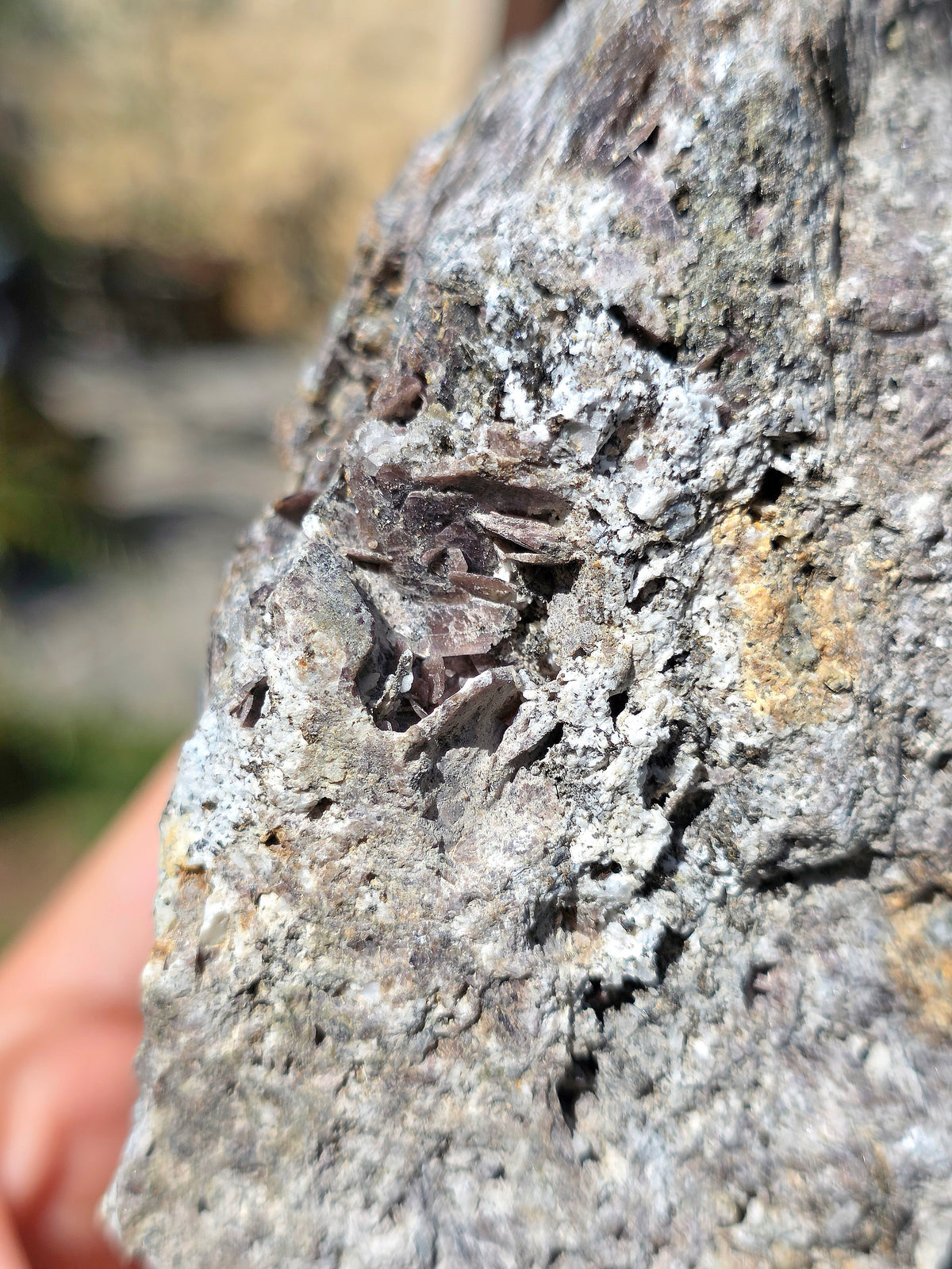 Grosse Axinite de Barèges, Pyrénées.