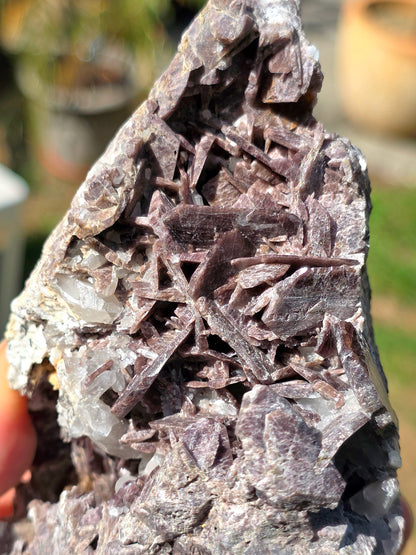 Grosse Axinite de Barèges, Pyrénées.