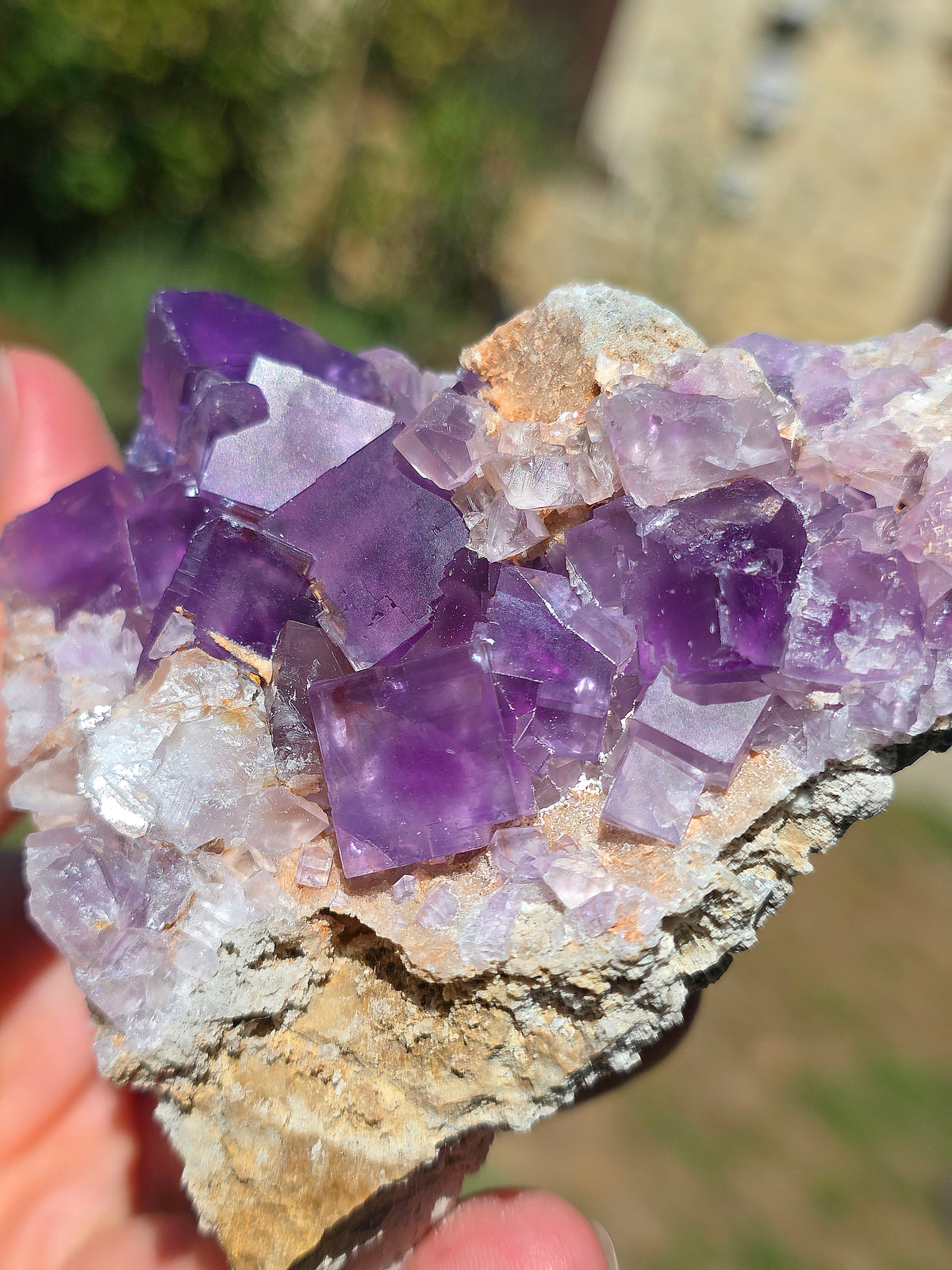 Fluorite violette brute du Béarn dans les Pyrénées.