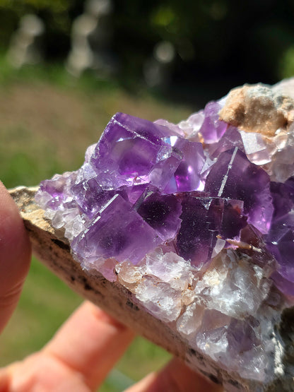 Fluorite violette brute du Béarn dans les Pyrénées.