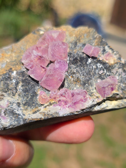 Fluorite (ou Fluorine) rose brute du Béarn