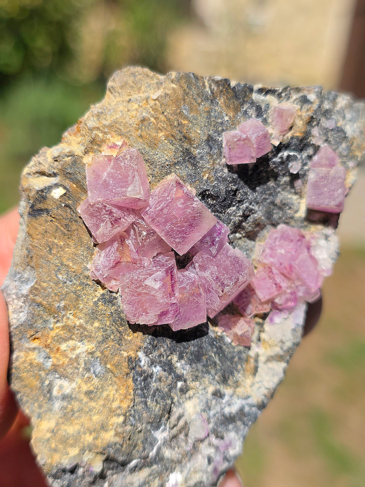 Fluorite (ou Fluorine) rose brute française
