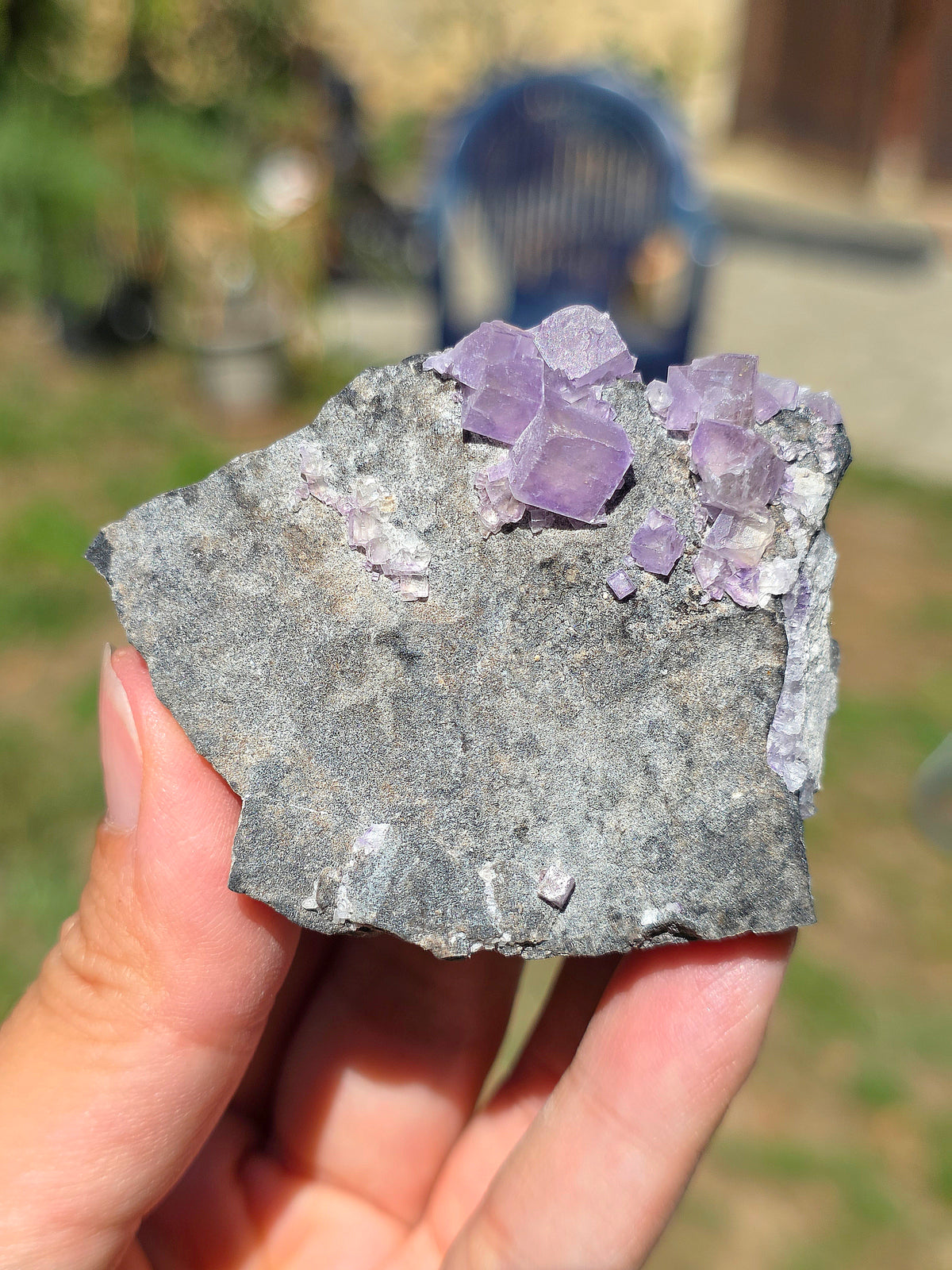 Fluorite (ou Fluorine) bicolore brute du Béarn