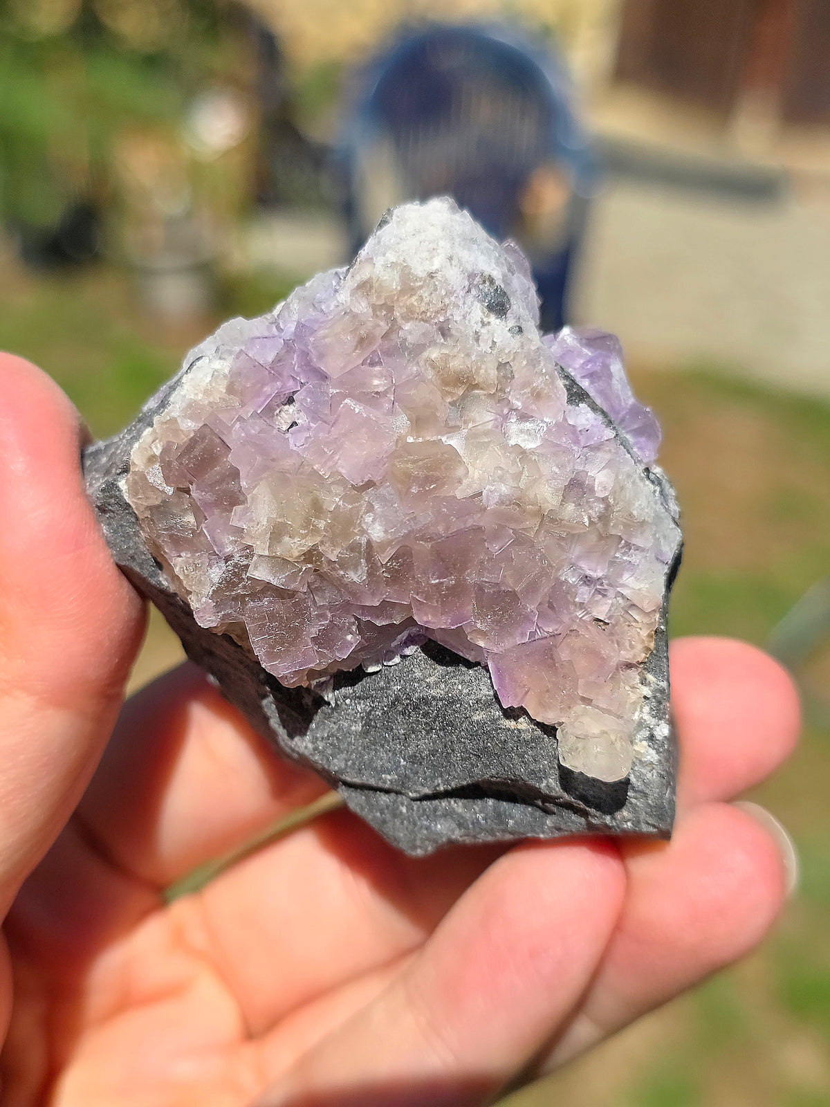 Fluorite (ou Fluorine) bicolore des Pyrénées