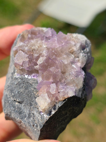 Fluorite (ou Fluorine) bicolore brute du Béarn