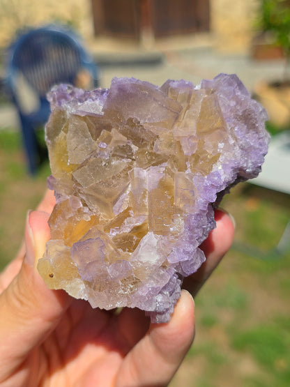 Fluorine violette et jaune brute du Béarn