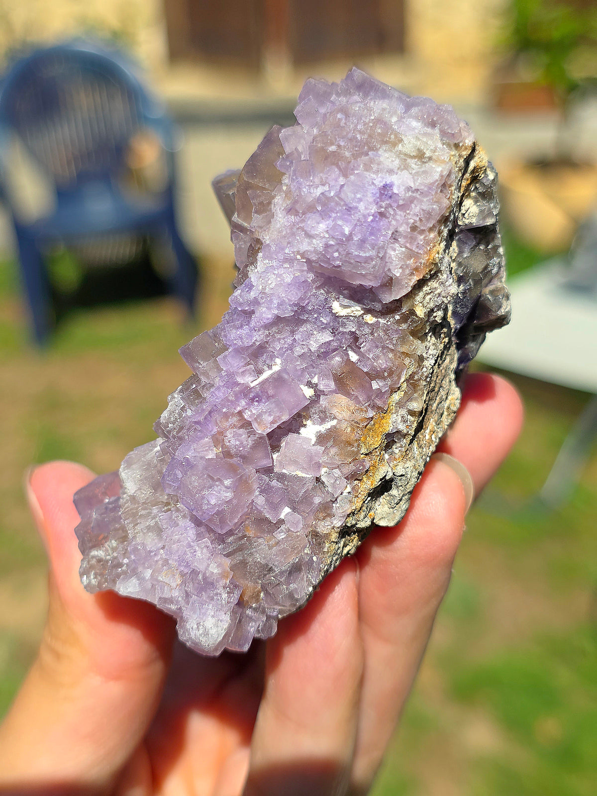 Fluorine violette et jaune brute du Béarn