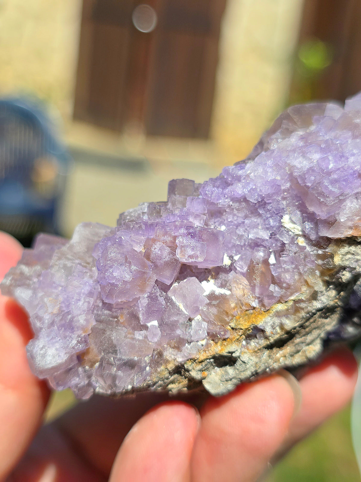 Fluorine violette et jaune brute du Béarn