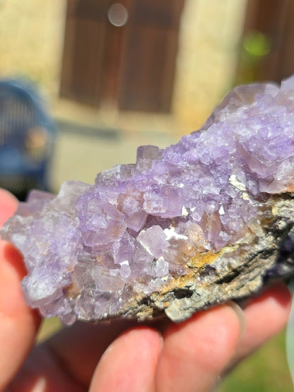 Fluorine violette et jaune brute du Béarn