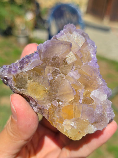 Fluorine violette et jaune brute des Pyrénées