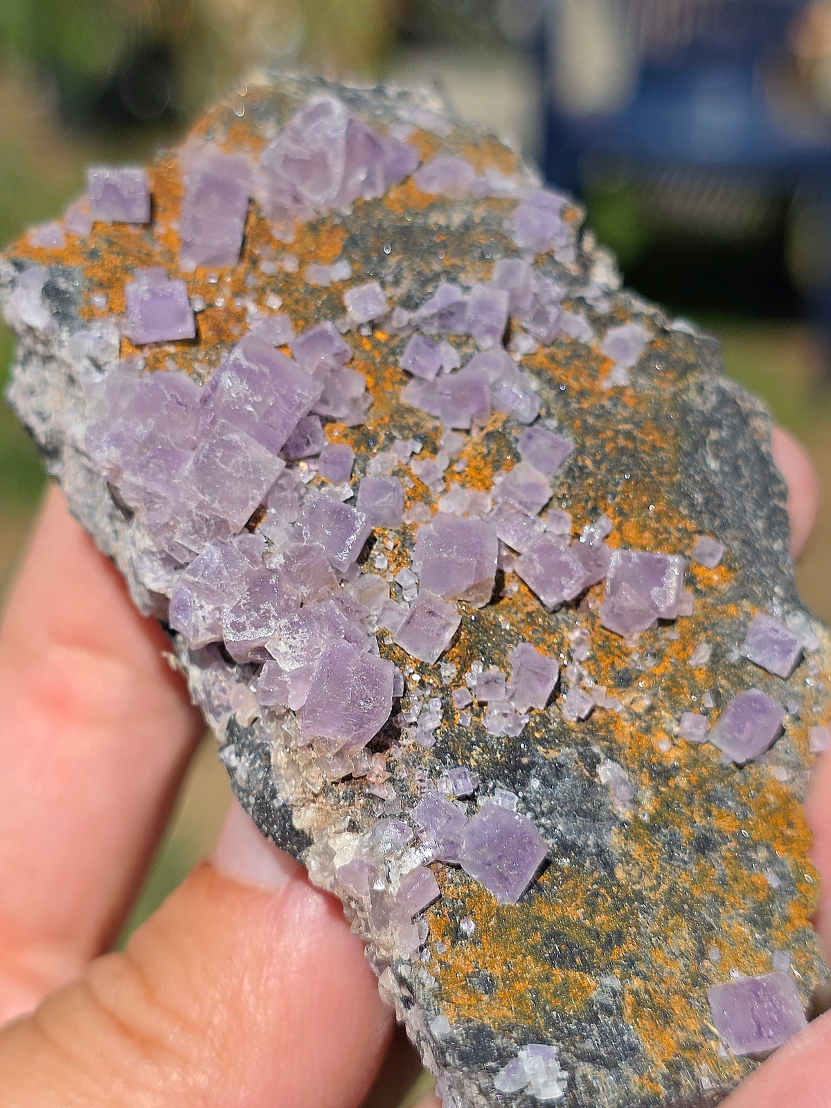 Fluorite violette brute du Béarn dans les Pyrénées - France