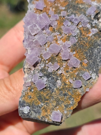 Fluorite du Béarn (Pyrénées) n°8