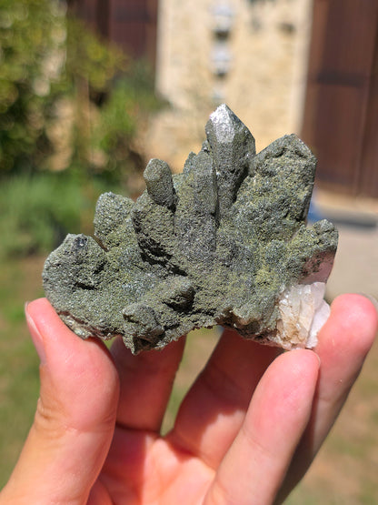 Quartz Chlorite brut d'Arrens, Pyrénées françaises
