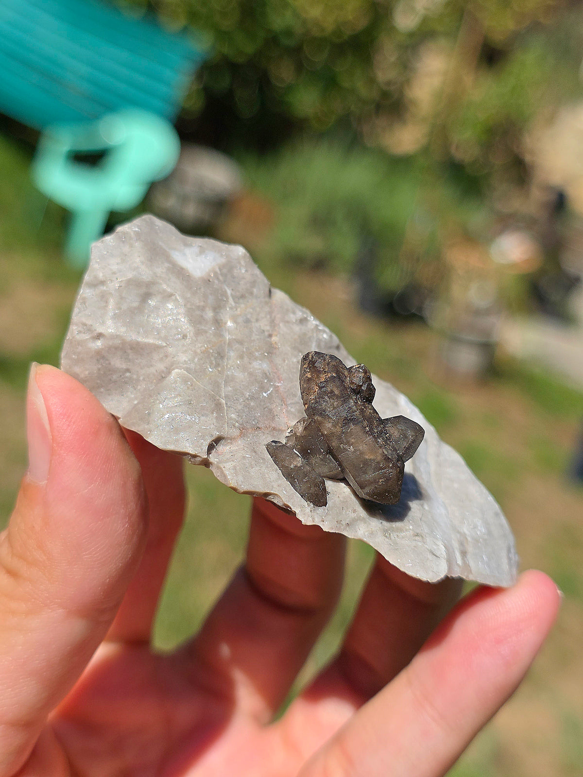 Quartz fumé (voir Morion) sur sa matrice