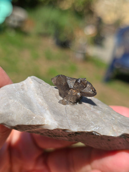 Quartz fumé (voir Morion) sur sa matrice