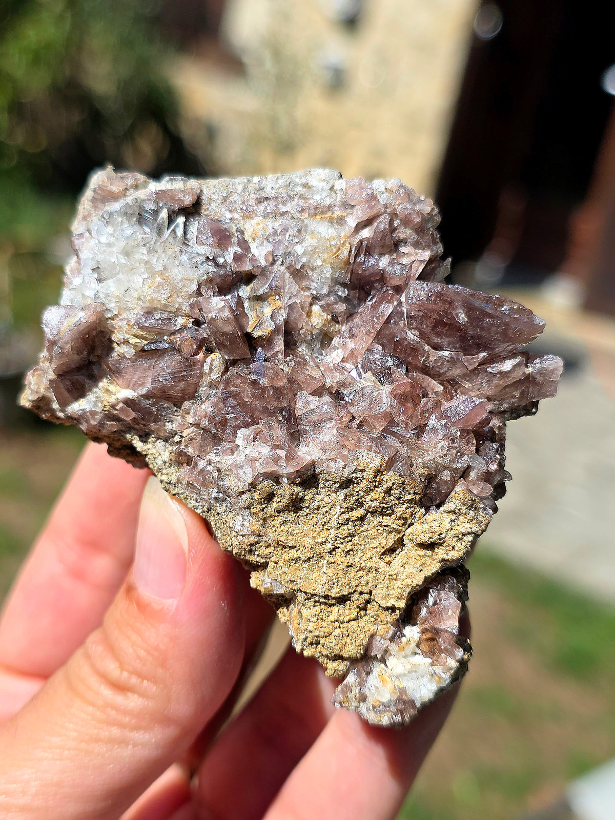 Axinite en provenance de Barèges, Pyrénées