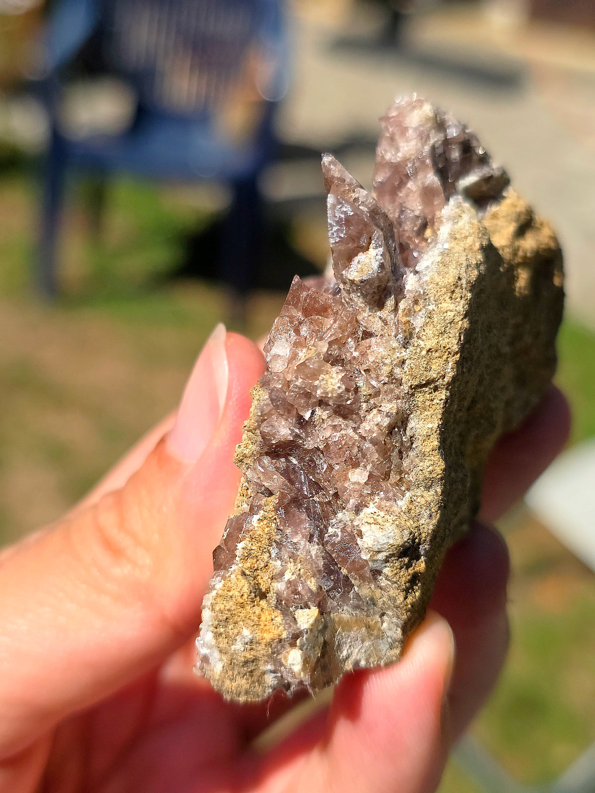Axinite en provenance de Barèges, Pyrénées
