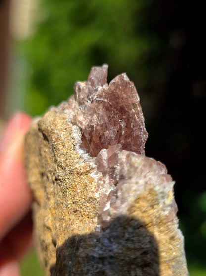 Axinite en provenance de Barèges, Pyrénées
