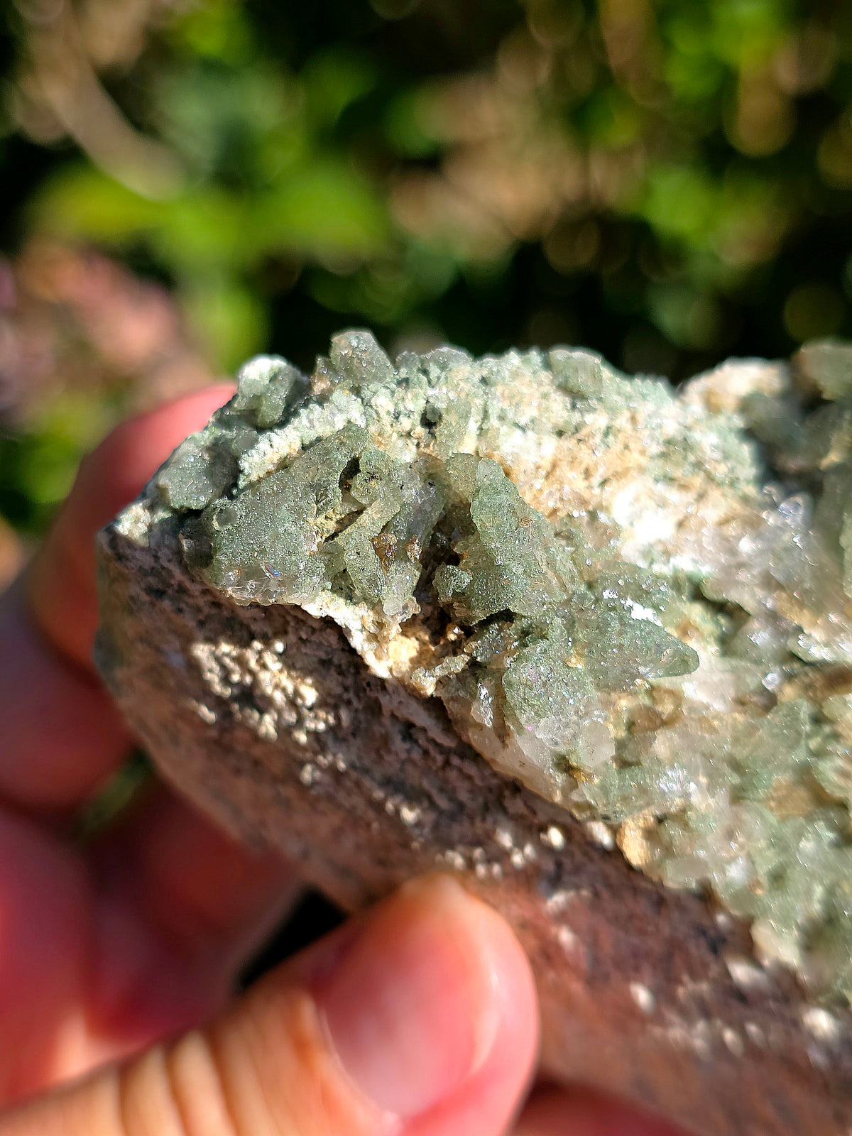 Quartz Chlorite des Pyrénées n°1