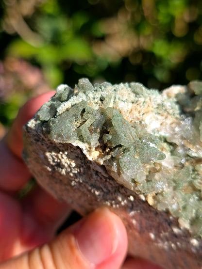 Quartz Chlorite des Pyrénées n°1
