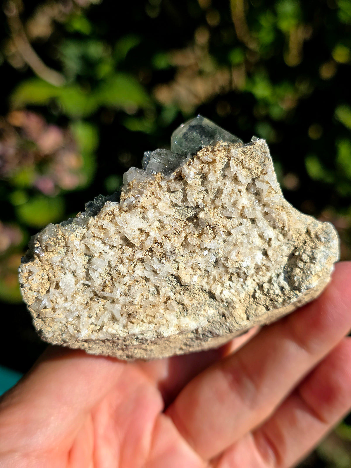 Quartz Chlorite des Pyrénées n°1