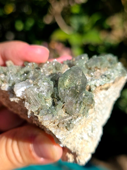 Quartz Chlorite des Pyrénées n°1
