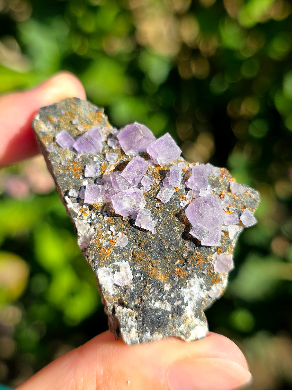 Fluorite (ou Fluorine) violette du Béarn