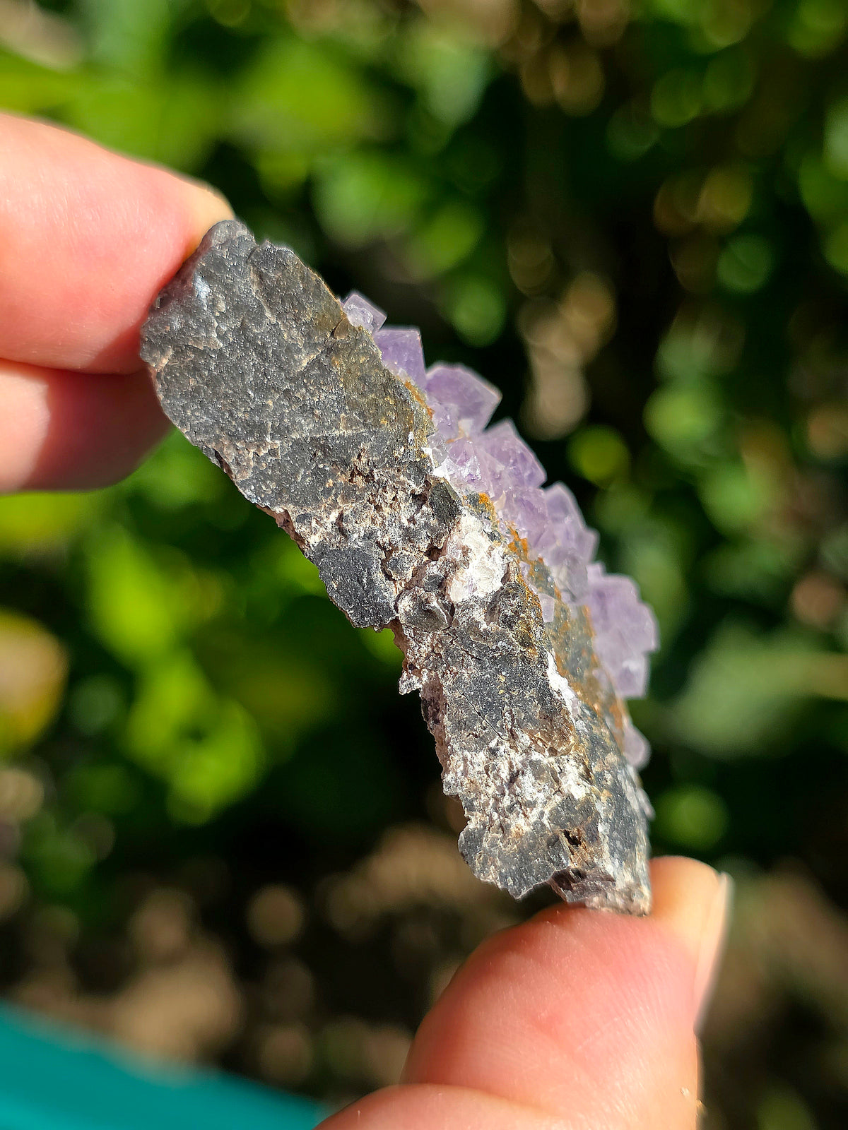 Fluorite (ou Fluorine) violette du Béarn