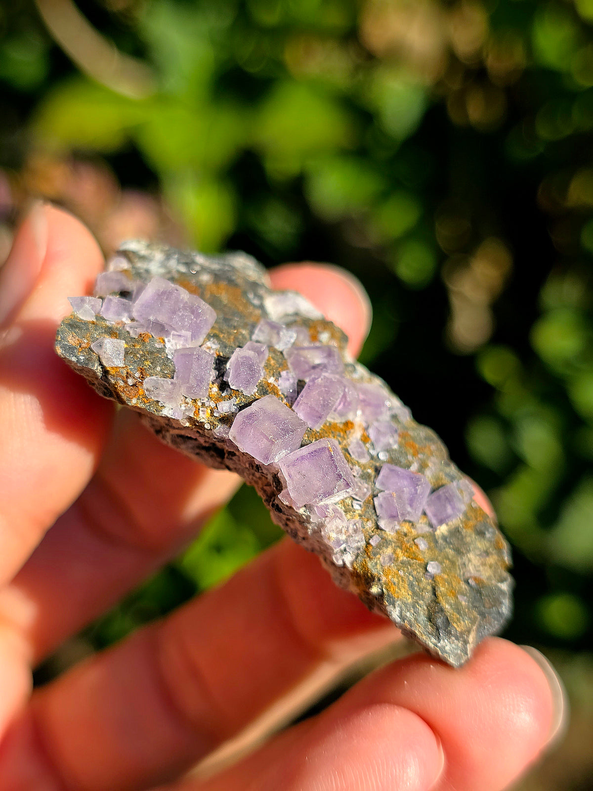 Fluorite (ou Fluorine) violette du Béarn