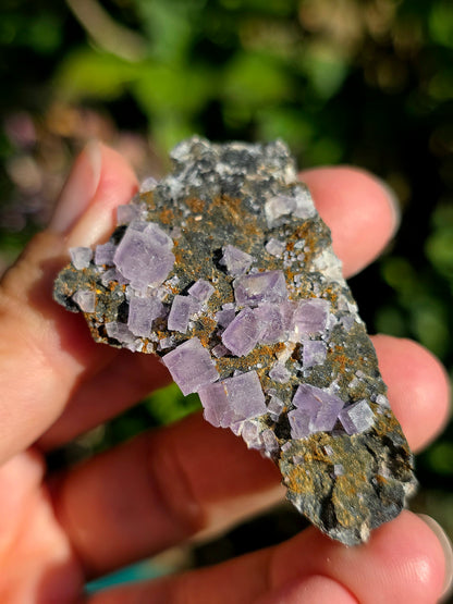 Fluorite (ou Fluorine) violette du Béarn